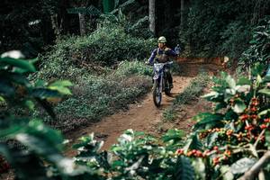 BIB: 
                            <button type="button" onclick="openModal(25857701)" class="btn btn-primary btn-sm float-right btn-popup" data-toggle="modal" data-target=".modal-high-quality">
                        <i class="fas fa-shopping-cart"></i> Add to Cart
                    </button>
                                            <button type="button" onclick="isThisMe(25857701, true)" class="btn btn-success btn-sm float-right btn-popup btn-isme hidden" data-toggle="tooltip" data-placement="bottom" title="นี่คือรูปของคุณใช่ไหม คลิกที่นี่เพื่อเอาเข้าอัลบั้ม">
                        <i class="fas fa-plus"></i> Add to album
                    </button>
                    <button type="button" onclick="isThisMe(25857701, false)" class="btn btn-warning btn-sm float-right btn-popup btn-isnotme hidden">
                        <i class="fas fa-ban"></i> Remove from album
                    </button>